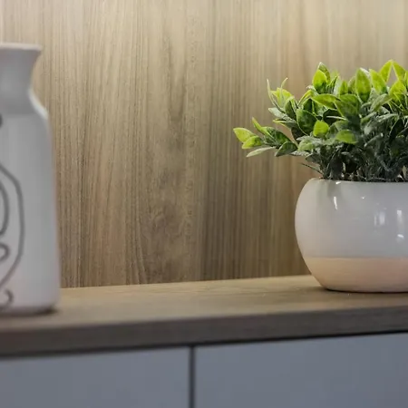 Petit Palace 公寓 扎达尔